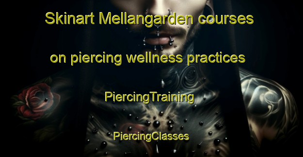 Skinart Mellangarden courses on piercing wellness practices | #PiercingTraining #PiercingClasses #SkinartTraining-Sweden