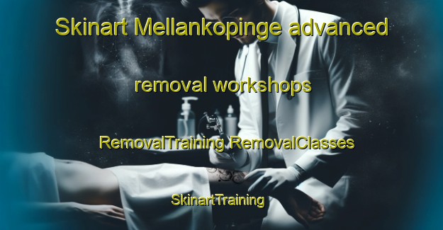 Skinart Mellankopinge advanced removal workshops | #RemovalTraining #RemovalClasses #SkinartTraining-Sweden