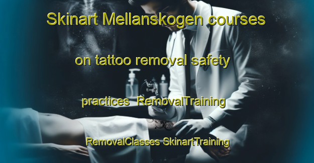 Skinart Mellanskogen courses on tattoo removal safety practices | #RemovalTraining #RemovalClasses #SkinartTraining-Sweden