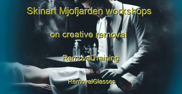 Skinart Mjofjarden workshops on creative removal | RemovalTraining | RemovalClasses | SkinartTraining-Sweden