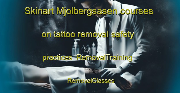 Skinart Mjolbergsasen courses on tattoo removal safety practices | RemovalTraining | RemovalClasses | SkinartTraining-Sweden