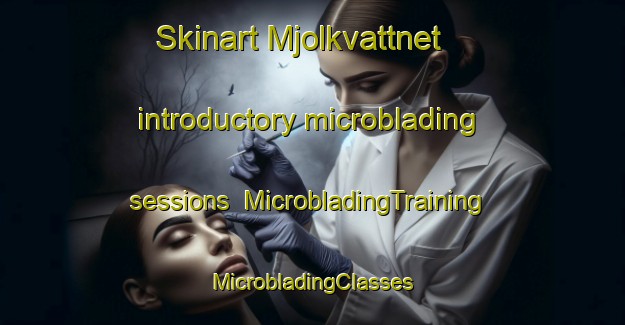 Skinart Mjolkvattnet introductory microblading sessions | #MicrobladingTraining #MicrobladingClasses #SkinartTraining-Sweden