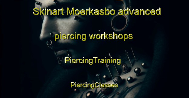 Skinart Moerkasbo advanced piercing workshops | #PiercingTraining #PiercingClasses #SkinartTraining-Sweden