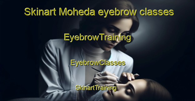 Skinart Moheda eyebrow classes | EyebrowTraining | EyebrowClasses | SkinartTraining-Sweden