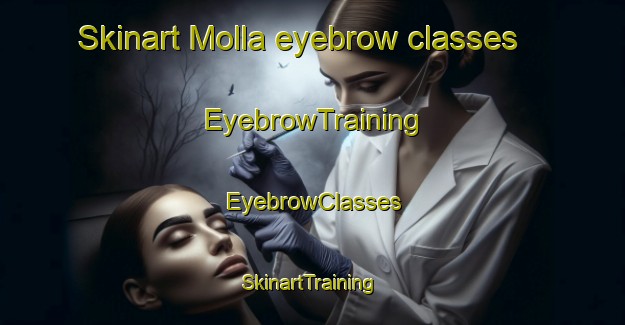 Skinart Molla eyebrow classes | EyebrowTraining | EyebrowClasses | SkinartTraining-Sweden
