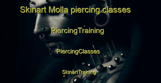 Skinart Molla piercing classes | PiercingTraining | PiercingClasses | SkinartTraining-Sweden