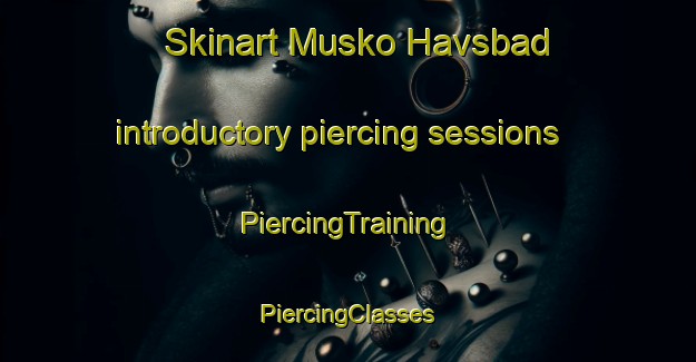 Skinart Musko Havsbad introductory piercing sessions | #PiercingTraining #PiercingClasses #SkinartTraining-Sweden