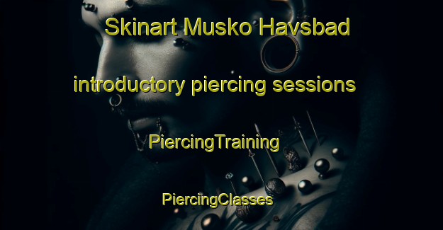 Skinart Musko Havsbad introductory piercing sessions | PiercingTraining | PiercingClasses | SkinartTraining-Sweden