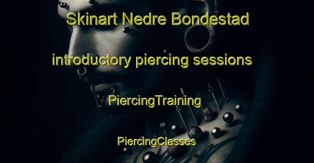 Skinart Nedre Bondestad introductory piercing sessions | #PiercingTraining #PiercingClasses #SkinartTraining-Sweden