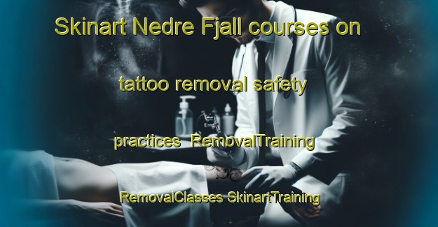 Skinart Nedre Fjall courses on tattoo removal safety practices | #RemovalTraining #RemovalClasses #SkinartTraining-Sweden