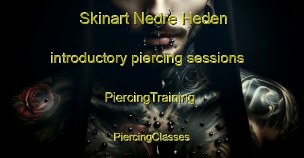 Skinart Nedre Heden introductory piercing sessions | #PiercingTraining #PiercingClasses #SkinartTraining-Sweden