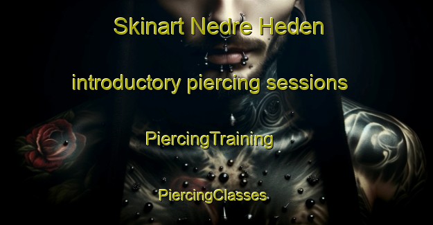 Skinart Nedre Heden introductory piercing sessions | PiercingTraining | PiercingClasses | SkinartTraining-Sweden