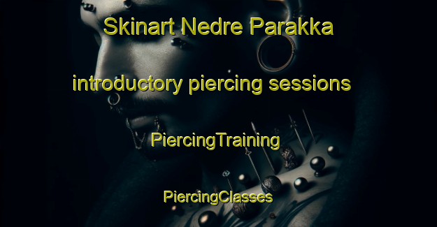 Skinart Nedre Parakka introductory piercing sessions | #PiercingTraining #PiercingClasses #SkinartTraining-Sweden