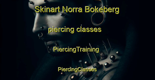 Skinart Norra Bokeberg piercing classes | #PiercingTraining #PiercingClasses #SkinartTraining-Sweden