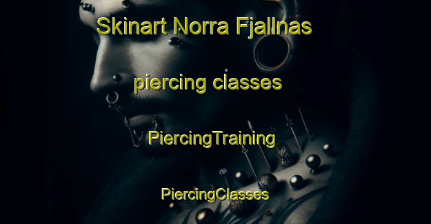 Skinart Norra Fjallnas piercing classes | #PiercingTraining #PiercingClasses #SkinartTraining-Sweden