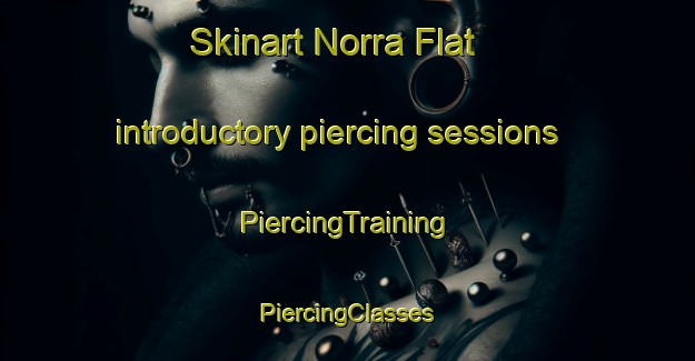 Skinart Norra Flat introductory piercing sessions | #PiercingTraining #PiercingClasses #SkinartTraining-Sweden