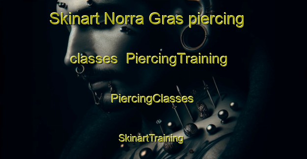 Skinart Norra Gras piercing classes | #PiercingTraining #PiercingClasses #SkinartTraining-Sweden