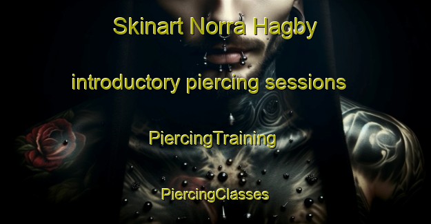 Skinart Norra Hagby introductory piercing sessions | #PiercingTraining #PiercingClasses #SkinartTraining-Sweden