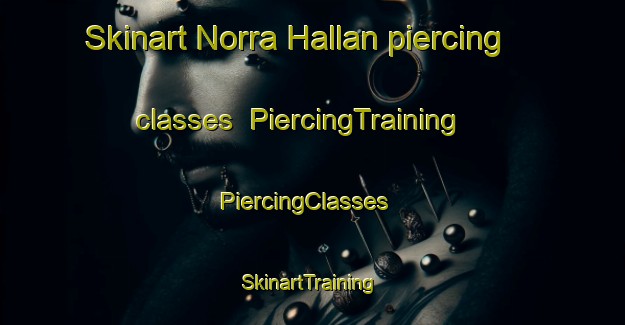 Skinart Norra Hallan piercing classes | PiercingTraining | PiercingClasses | SkinartTraining-Sweden