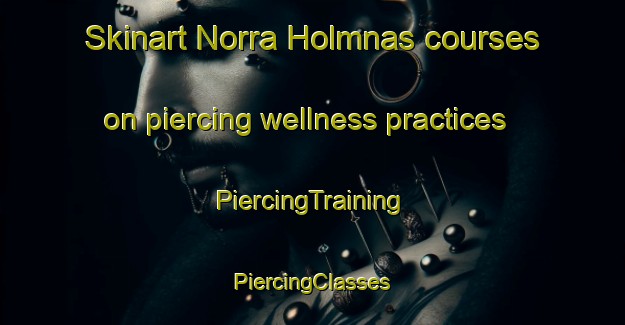 Skinart Norra Holmnas courses on piercing wellness practices | #PiercingTraining #PiercingClasses #SkinartTraining-Sweden