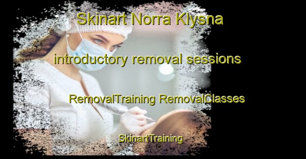 Skinart Norra Klysna introductory removal sessions | #RemovalTraining #RemovalClasses #SkinartTraining-Sweden