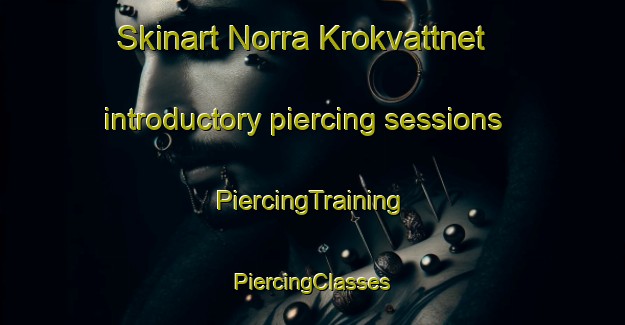 Skinart Norra Krokvattnet introductory piercing sessions | #PiercingTraining #PiercingClasses #SkinartTraining-Sweden