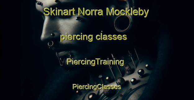 Skinart Norra Mockleby piercing classes | #PiercingTraining #PiercingClasses #SkinartTraining-Sweden