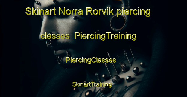 Skinart Norra Rorvik piercing classes | PiercingTraining | PiercingClasses | SkinartTraining-Sweden