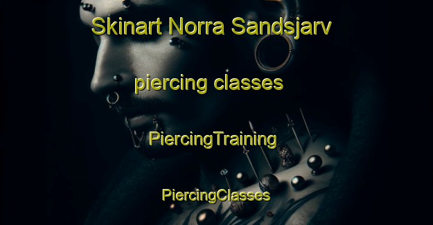 Skinart Norra Sandsjarv piercing classes | #PiercingTraining #PiercingClasses #SkinartTraining-Sweden