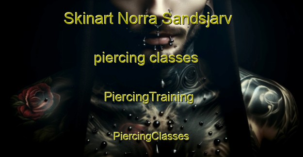 Skinart Norra Sandsjarv piercing classes | #PiercingTraining #PiercingClasses #SkinartTraining-Sweden