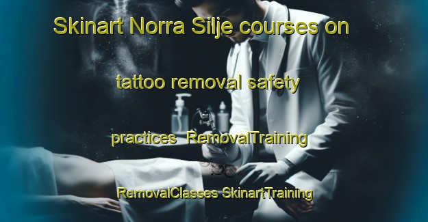 Skinart Norra Silje courses on tattoo removal safety practices | #RemovalTraining #RemovalClasses #SkinartTraining-Sweden