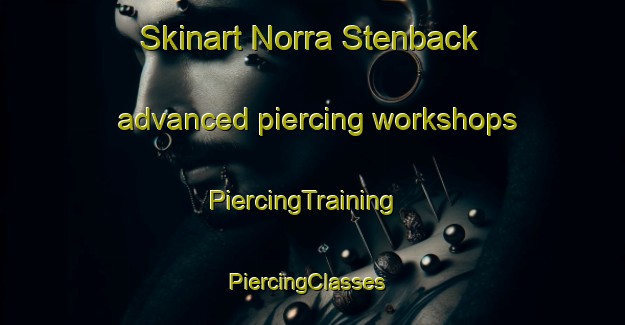 Skinart Norra Stenback advanced piercing workshops | PiercingTraining | PiercingClasses | SkinartTraining-Sweden
