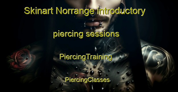 Skinart Norrange introductory piercing sessions | PiercingTraining | PiercingClasses | SkinartTraining-Sweden
