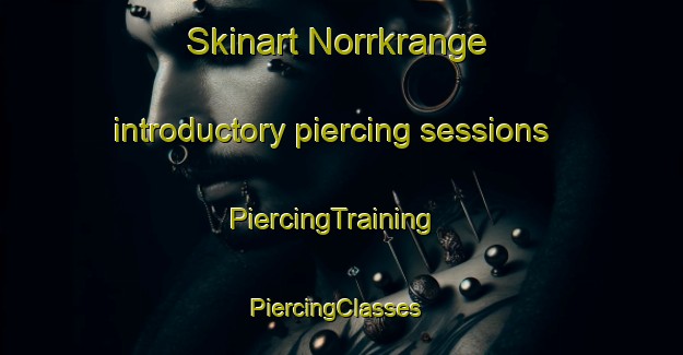 Skinart Norrkrange introductory piercing sessions | PiercingTraining | PiercingClasses | SkinartTraining-Sweden