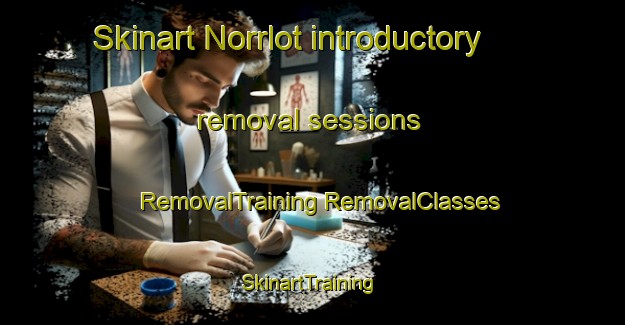 Skinart Norrlot introductory removal sessions | #RemovalTraining #RemovalClasses #SkinartTraining-Sweden