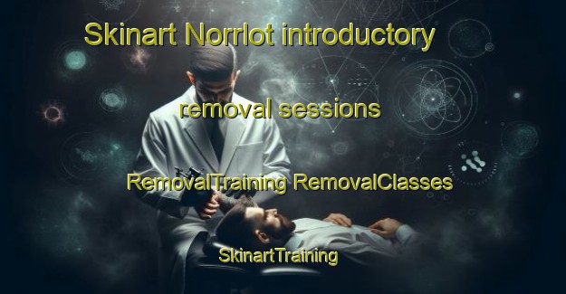 Skinart Norrlot introductory removal sessions | #RemovalTraining #RemovalClasses #SkinartTraining-Sweden