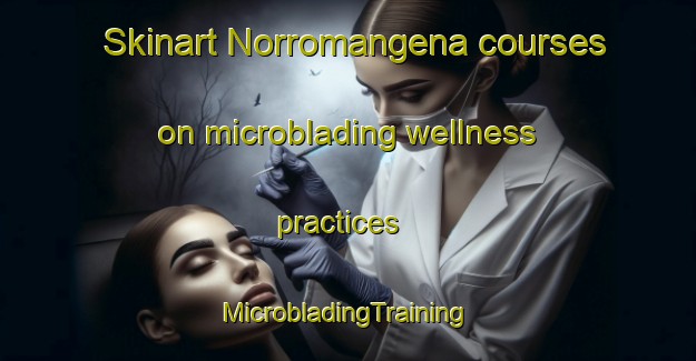 Skinart Norromangena courses on microblading wellness practices | #MicrobladingTraining #MicrobladingClasses #SkinartTraining-Sweden