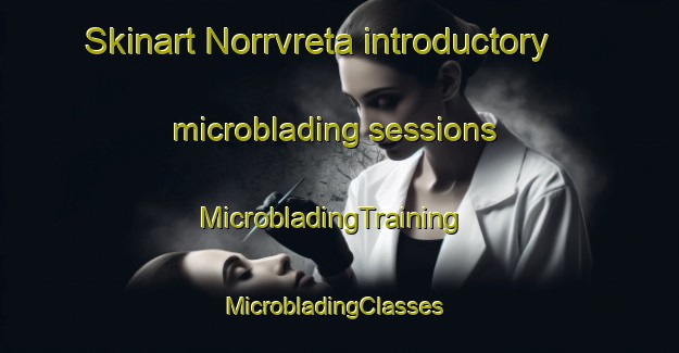 Skinart Norrvreta introductory microblading sessions | MicrobladingTraining | MicrobladingClasses | SkinartTraining-Sweden