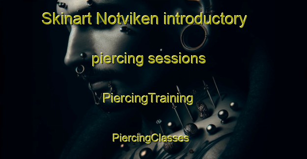 Skinart Notviken introductory piercing sessions | PiercingTraining | PiercingClasses | SkinartTraining-Sweden