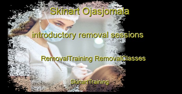 Skinart Ojasjomala introductory removal sessions | #RemovalTraining #RemovalClasses #SkinartTraining-Sweden