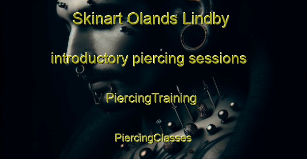 Skinart Olands Lindby introductory piercing sessions | #PiercingTraining #PiercingClasses #SkinartTraining-Sweden