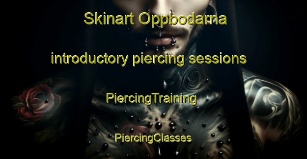 Skinart Oppbodarna introductory piercing sessions | #PiercingTraining #PiercingClasses #SkinartTraining-Sweden