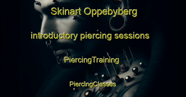 Skinart Oppebyberg introductory piercing sessions | #PiercingTraining #PiercingClasses #SkinartTraining-Sweden