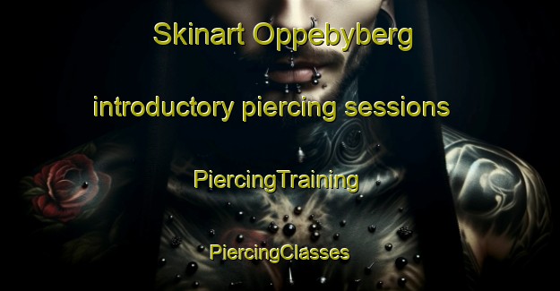 Skinart Oppebyberg introductory piercing sessions | #PiercingTraining #PiercingClasses #SkinartTraining-Sweden