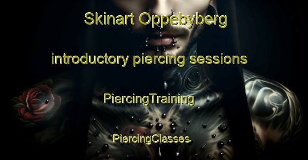 Skinart Oppebyberg introductory piercing sessions | PiercingTraining | PiercingClasses | SkinartTraining-Sweden