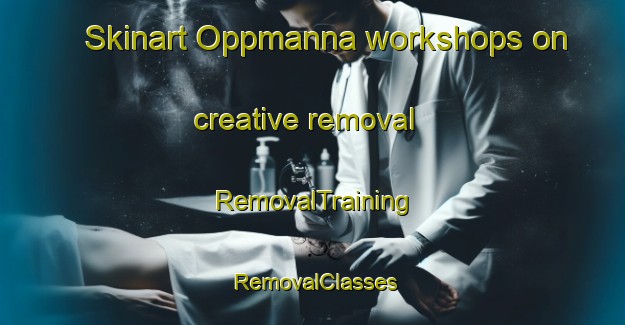 Skinart Oppmanna workshops on creative removal | RemovalTraining | RemovalClasses | SkinartTraining-Sweden