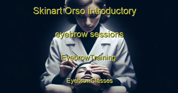 Skinart Orso introductory eyebrow sessions | EyebrowTraining | EyebrowClasses | SkinartTraining-Sweden