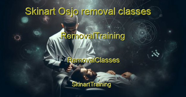Skinart Osjo removal classes | RemovalTraining | RemovalClasses | SkinartTraining-Sweden