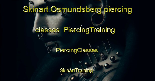 Skinart Osmundsberg piercing classes | #PiercingTraining #PiercingClasses #SkinartTraining-Sweden