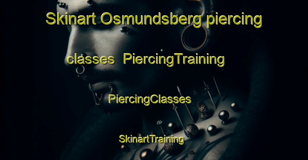 Skinart Osmundsberg piercing classes | PiercingTraining | PiercingClasses | SkinartTraining-Sweden